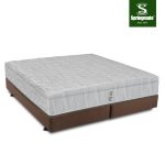 ที่นอนโรงแรมรุ่น Project premier